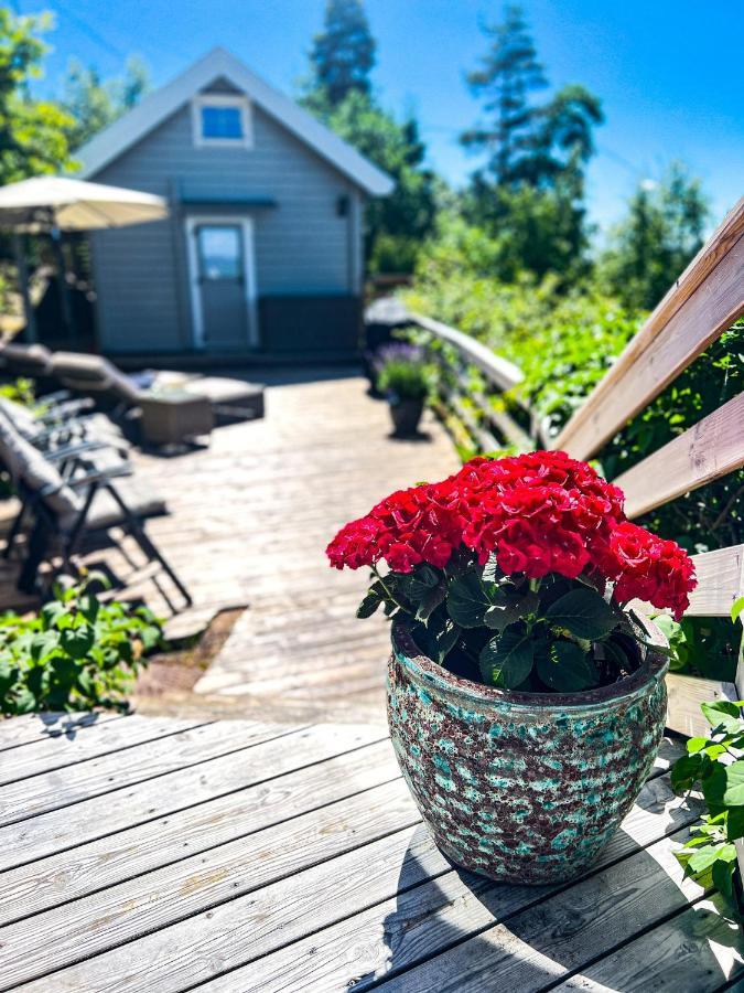 Summer Cabin By The Sea Holmsbu. Аскер Екстериор снимка